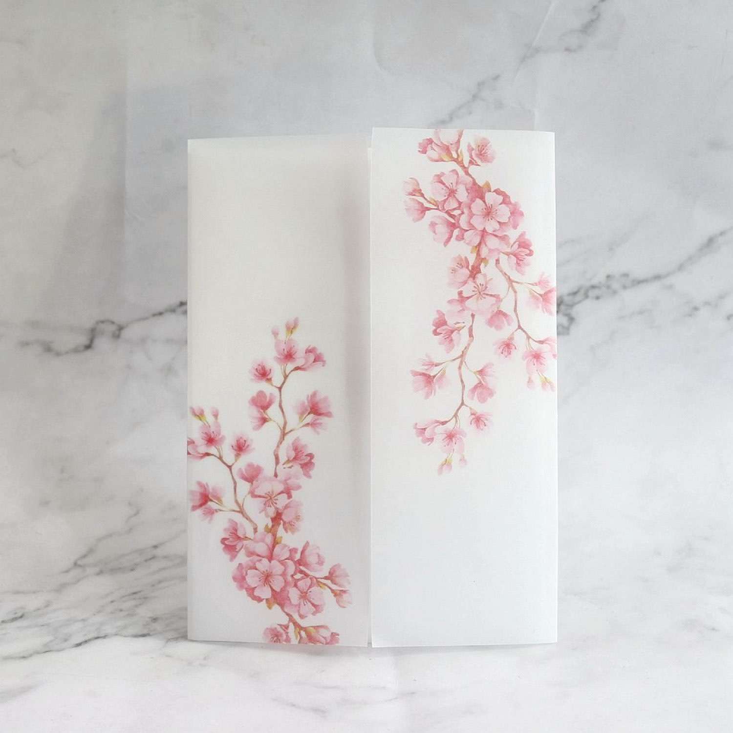 Wedding Invitation Card with Vellum Paper Cover Fresh Style Latest Invitation 